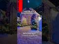 Toronto’s Brightest Night of the Year: Cavalcade of Lights 2025 | Nathan Phillips Square, Toronto