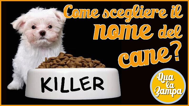 Come scegliere il nome del cane | Qua la Zampa