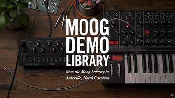 Spectravox | Traditional Vocoding