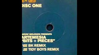 Artemesia - Bits   Pieces (Tidy Boys Remix) Old Skool Hard House (Tidy Trax)