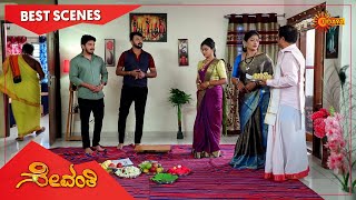 Celebrity Sevanthi - Best Scenes | Full EP free on SUN NXT | 13 April 2022| Kannada Serial | Udaya TV Profile
