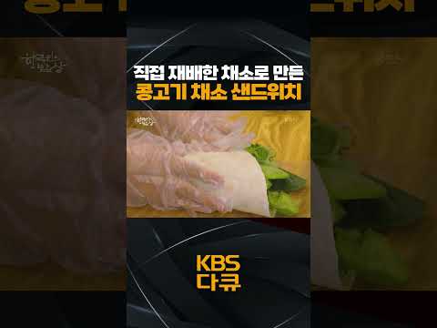 직접 재배한 채소로 만들어 더 맛있는 콩고기 채소 샌드위치🥪 | KBS 한국인의 밥상 220608 방송