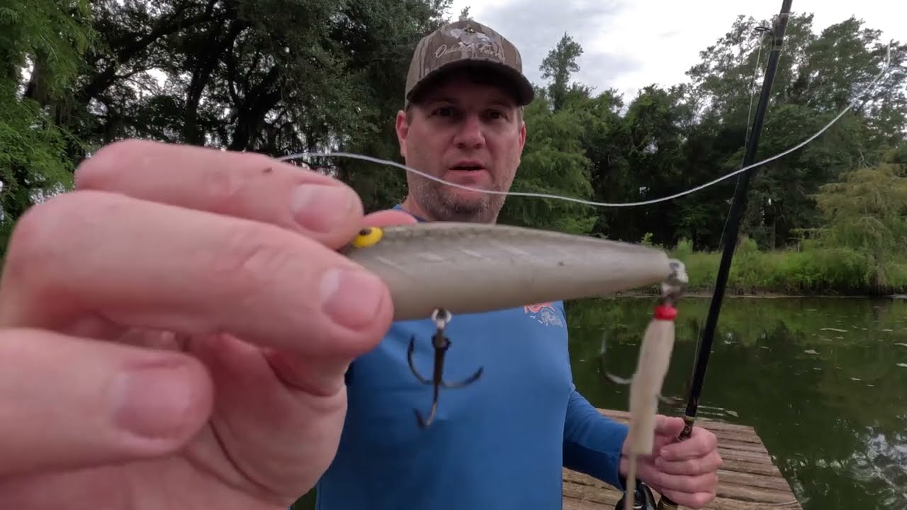 How to fish small ponds for bass! #fishing #pondfishing #bassfishing