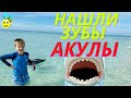 Нашли зубы акулы! Огромные черепахи в парке! Пляжи Nakomis/Venice beach. #сша  #жизньвамерике #влог