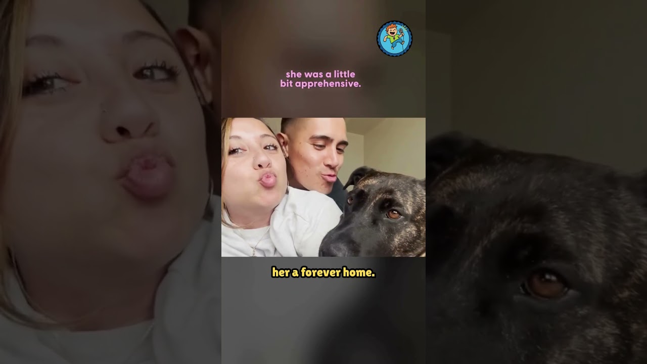 A Second Chance: How Love Transformed a Chained Dog "Bea"