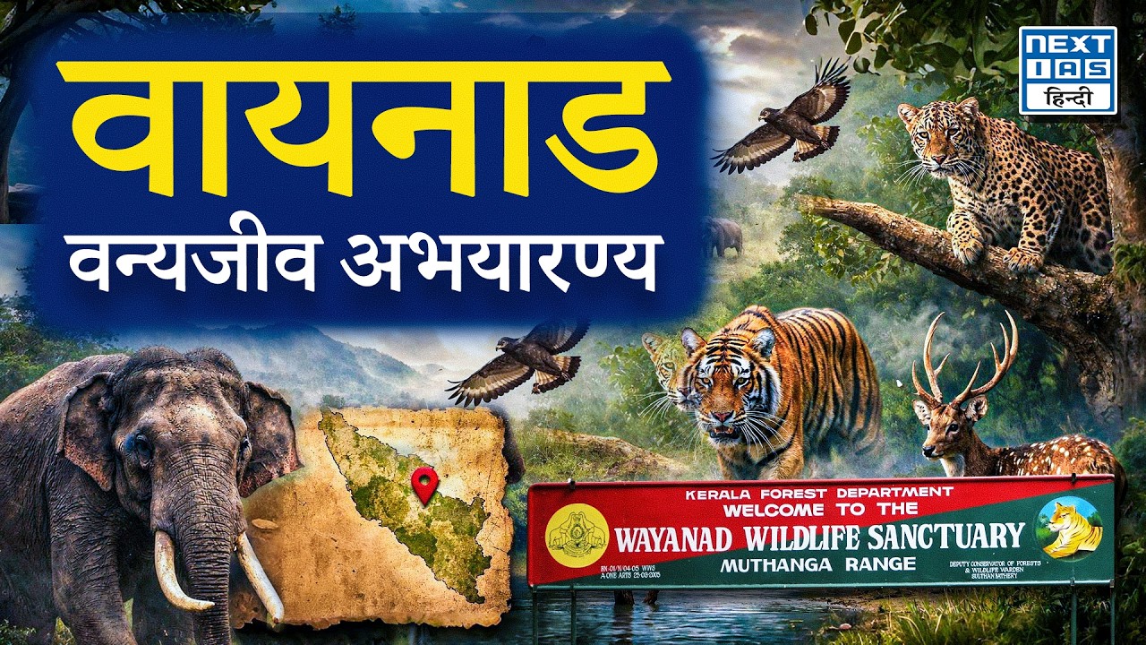 Wayanad Wildlife Sanctuary में Vulture Conservation | वायनाड में गिद्धों की स्थिर आबादी | NEXT IAS