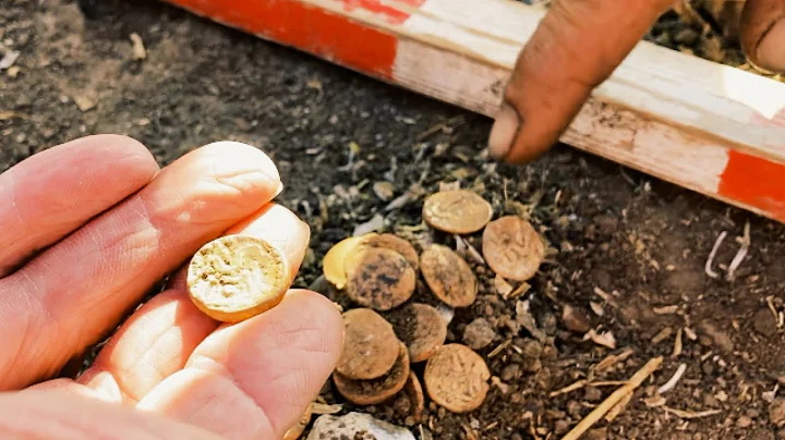 The Celtic Stater Hoard [Joan Allen Rally]