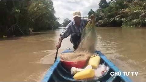 Thả Lưới Cá Lòng Tong Trôi Theo Dòng Nước Miền Tây | Chú Tư TV
