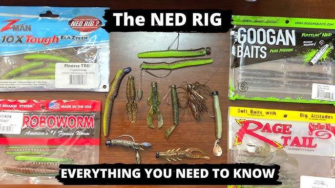 Comparing The BEST Ned Rig Plastics