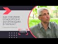 Как смоляне относятся к загорающим в парках?