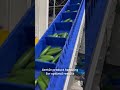 🥒 Pesadora Multicintas para Pepino Midi | Multibelt Weigher for Midi Cucumber