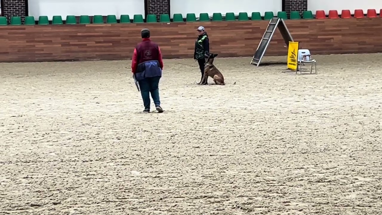 Сдача IGP2 Послушание В90