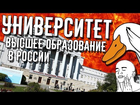 Университет - продолжение школы | Универ и высшее образование в России | Goose