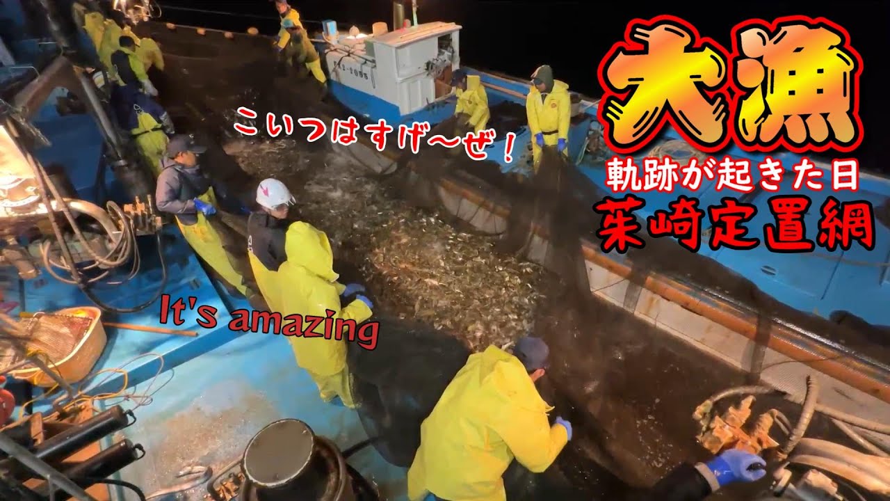 【数年ぶりの超大漁！】無念からの歓喜！【茱崎定置網の漁師達】