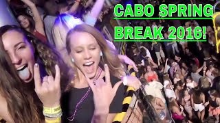 Cabo Spring Break 2016