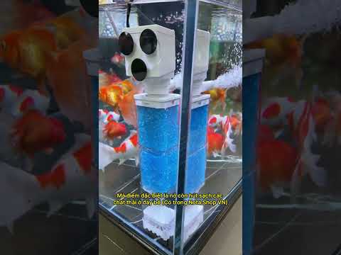 Máy lọc mini