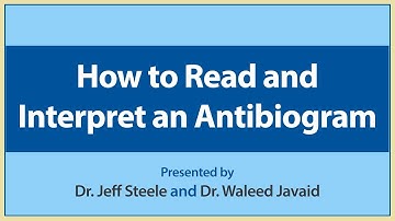 How to Read and Interpret an Antibiogram