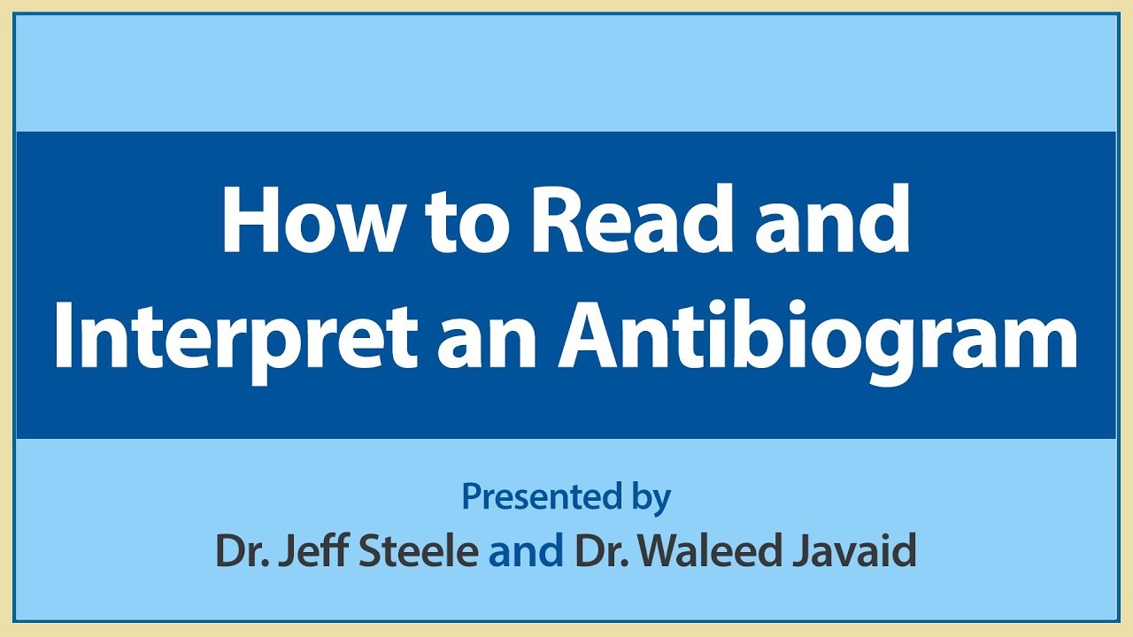 How To Read Antibiogram