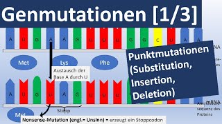 Genmutationen [1/3] (Punktmutationen: Insertion, Substitution, Deletion) - Genetik, Oberstufe
