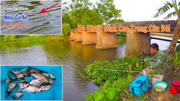 Luyện Kỹ Năng Giật Cá Chuẩn Nhịp Cá ăn Trong Câu Đài ➣ Kỹ Thuật Câu Đài Đỉnh Cao