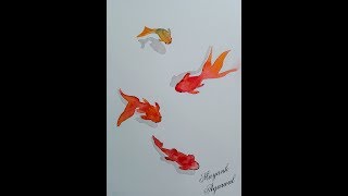 3D Fish Drawing - How To Draw 3D Fish Step By Step
