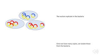 DNA Libraries Animation