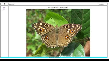 TUGAS KD5 = Membuat Website sederhana dengan layout tabel