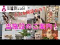 里親Caf&eacute;の施設紹介(ゆっくりVer)