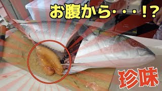 ブリを捌いたらお腹の中から・・・