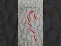 Some Quick Last Minute Christmas Gift Ideas To Crochet Crochetting Crochetring 