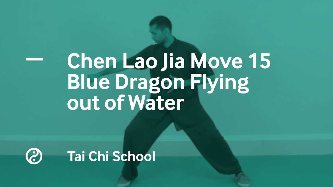 Chen Tai Chi Lao Jia Form. Move 15: Blue Dragon Flying out of Water