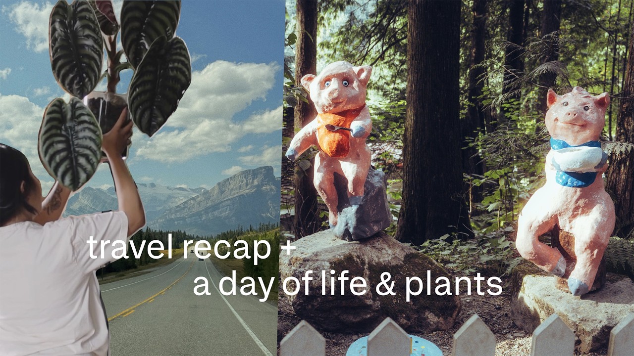 travel recap, apartment reset, plant updates & selling all my anthurium?!