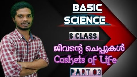 Basic science  Chapter 1  ജീവന്റെ ചെപ്പുകൾ  Caskets of life  Class 6 Part 03
