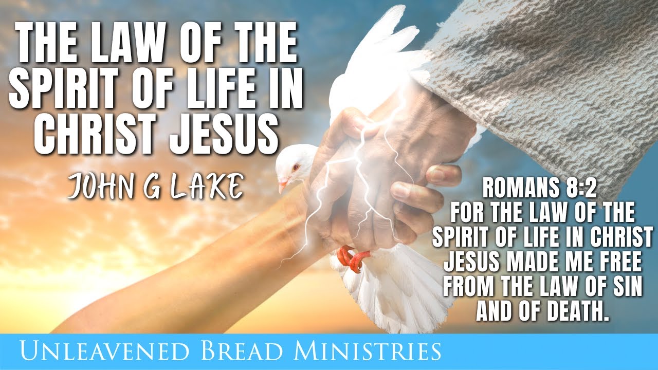 What Is The Law Of The Spirit Of Life In Christ Jesus David Eells what-is-the-law-of-the-spirit-of-life-in-christ-jesus-david-eells