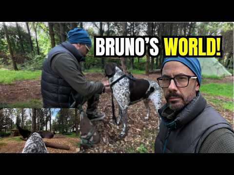 Bruno Cam! | Seeing the World From My Dog’s POV | Red Branch Bushcraft |