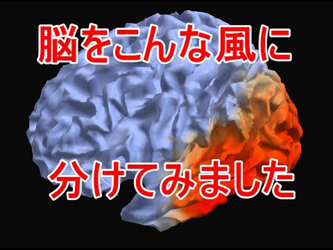Brodmann ブロードマン脳地図 Youtube