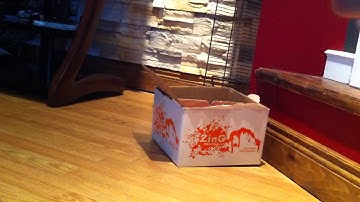 Dynasty velocity Drop test