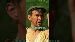 БМ | Часть 40: Юбилей! В деревне сбежал ЛЕВ?! 🦁😱 #shorts #сваты  #лев #сафари #40серия #юмор #юбилей