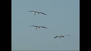 Jay Worthy Computer Love Freestyle