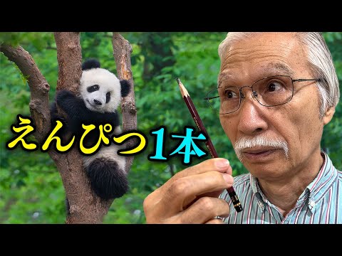 Eng sub] I drew a cute panda with a 10B pencil! - YouTube