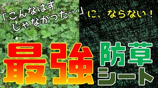 最強の防草シート「ザバーン」等級・用途・選択方法を徹底解説！＼プロも大絶賛／雑草対策