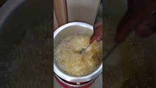 Crispy Homemade French Fries with Garlic Seasoning