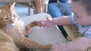 Baby play with cat and laughing