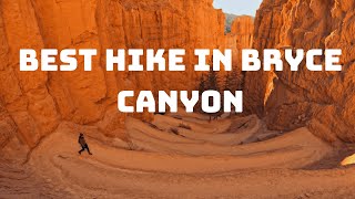 Two Bridges & Queens Garden BEST BRYCE CANYON HIKES  Guide