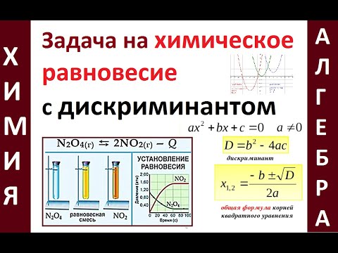 Видео: Нетна стойност на Кели Ръдърфорд: Wiki, женен, семейство, сватба, заплата, братя и сестри