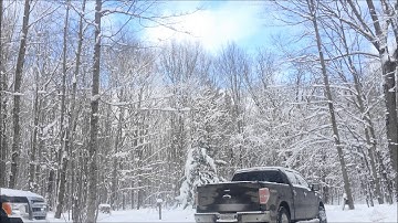 Dyno Port Can Screams!! BRAAAAAP!!