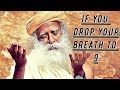 Only a fool wants to live forever - Sadhguru about Life span of a human being.