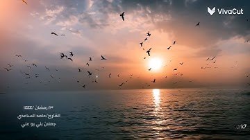 تلاوه خاشعه من سورة البقره😴🤍 للقارئ/ حامد الساعدي.