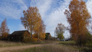 Тверская, Лихославль-Спирово, 09.10.21,  в поисках золотой осени