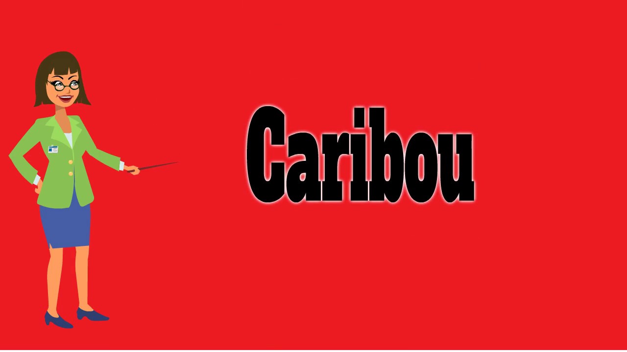Caribou Pronunciation Meanings Examples Definition Animals